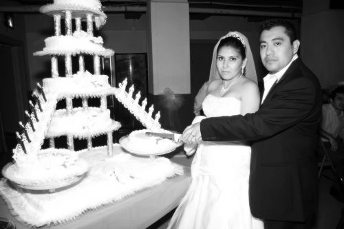 Fotografia de COOL GRAPHIC STUDIO - Galeria Fotografica: COOL GRAPHIC STUDIO - Foto: 