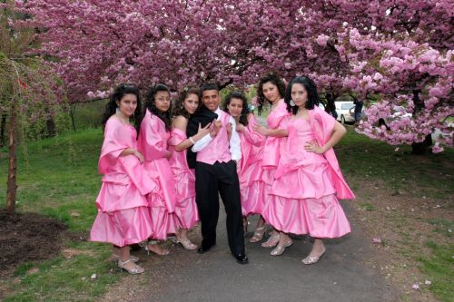 Fotografia de COOL GRAPHIC STUDIO - Galeria Fotografica: COOL GRAPHIC STUDIO - Foto: 