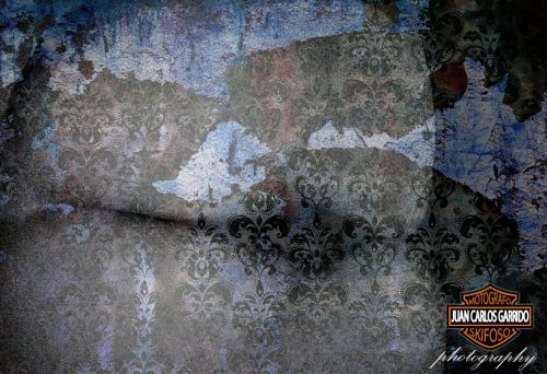 Fotografia de MOTOGRAFO - Galeria Fotografica: DESNUDOS CON PROCESO DIGITAL  - Foto: 