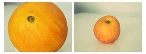 Fotografia de Francisco J. Rocha Cendn - Galeria Fotografica: DipFrutado - Foto: Dptico II