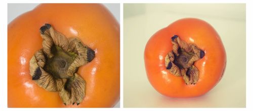 Fotografia de Francisco J. Rocha Cendn - Galeria Fotografica: DipFrutado - Foto: Dptico VII