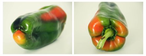 Fotografia de Francisco J. Rocha Cendn - Galeria Fotografica: DipFrutado - Foto: Dptico VIII