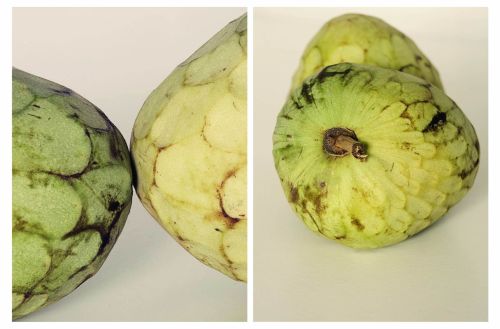 Fotografia de Francisco J. Rocha Cendn - Galeria Fotografica: DipFrutado - Foto: Dptico X