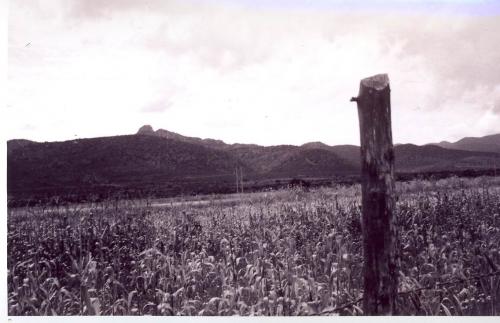 Fotografia de Victor - Galeria Fotografica: Paredes que hablan - Foto: Serenidad