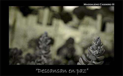 Fotografia de Leno - Galeria Fotografica: Experimentacion Fotografica - Foto: Descansan en paz							