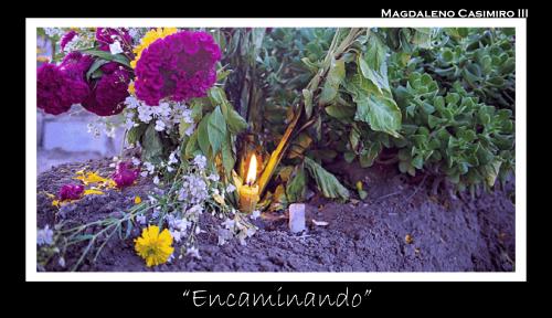 Fotografia de Leno - Galeria Fotografica: Experimentacion Fotografica - Foto: encaminando								