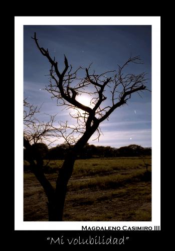 Fotografia de Leno - Galeria Fotografica: Experimentacion Fotografica - Foto: 								