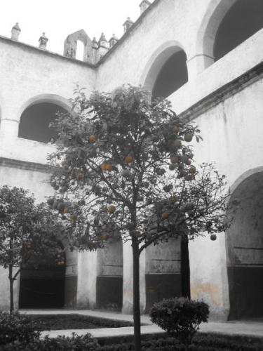 Fotografia de Adrianna - Galeria Fotografica: En la profundidad - Foto: Naranjo								