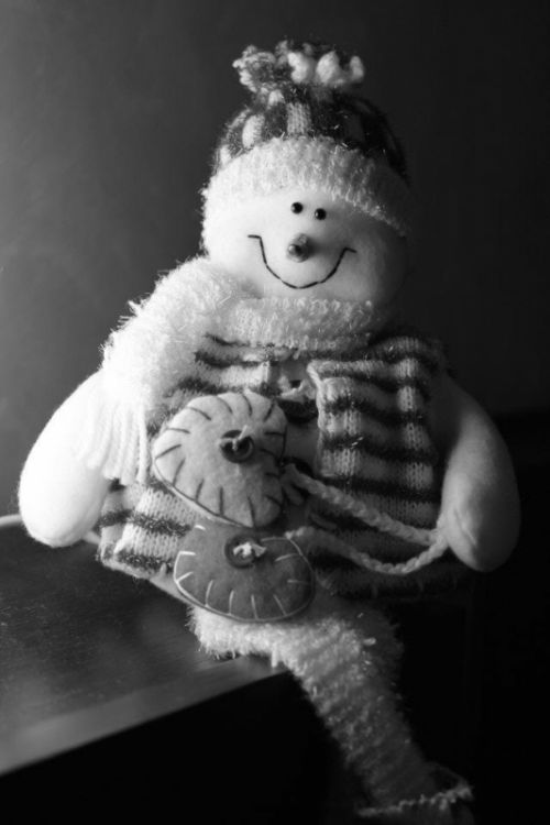 Fotografia de Naia79 - Galeria Fotografica: Variedad - Foto: Muneco de nieve