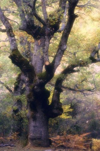 Fotografia de Sin Nombre - Galeria Fotografica: Impresiones en color - Foto: 