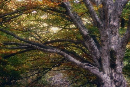 Fotografia de Sin Nombre - Galeria Fotografica: Impresiones en color - Foto: 