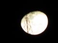 Foto de  angel - Galería: reportajes - Fotografía: 	luna llena							