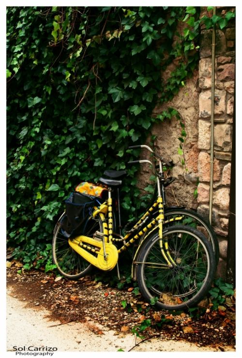 Fotografia de Sol Carrizo - Galeria Fotografica: Portfolio Nature - Foto: 