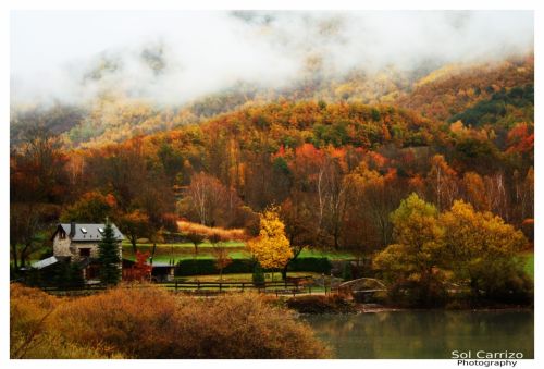 Fotografia de Sol Carrizo - Galeria Fotografica: Portfolio Nature - Foto: 