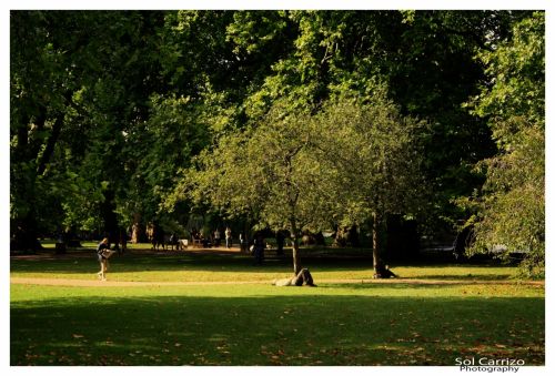 Fotografia de Sol Carrizo - Galeria Fotografica: Portfolio Nature - Foto: 