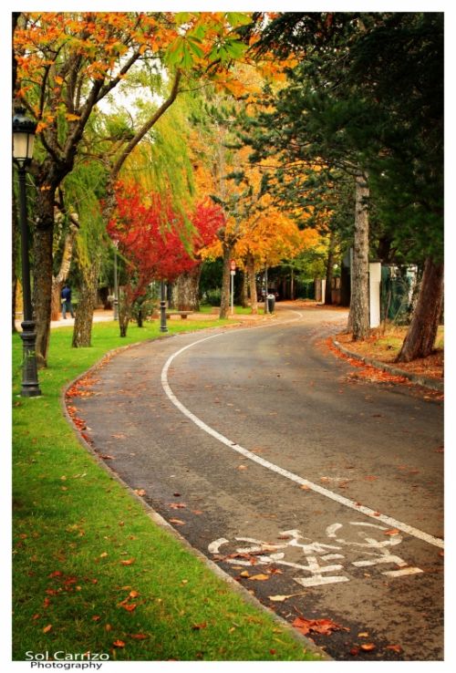 Fotografia de Sol Carrizo - Galeria Fotografica: Portfolio Nature - Foto: 