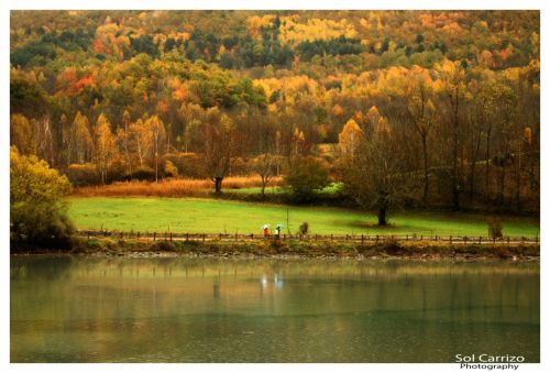 Fotografia de Sol Carrizo - Galeria Fotografica: Portfolio Nature - Foto: 