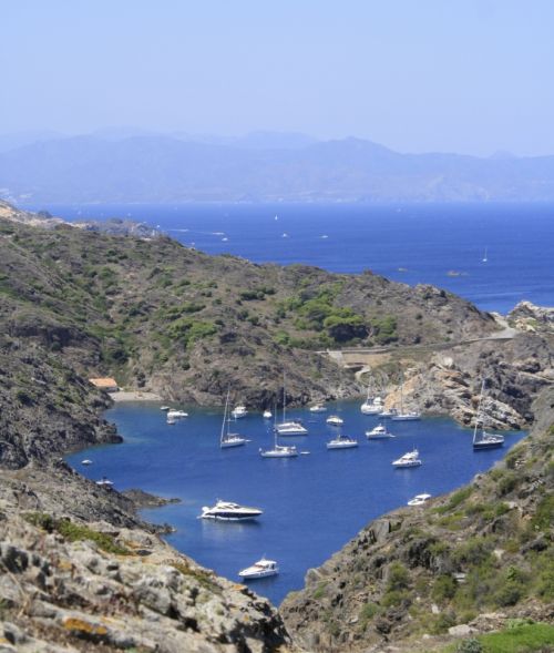 Fotografia de Sol Carrizo - Galeria Fotografica: Portfolio Nature - Foto: 