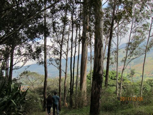 Fotografia de oscar camilo - Galeria Fotografica: caminando - Foto: descanso