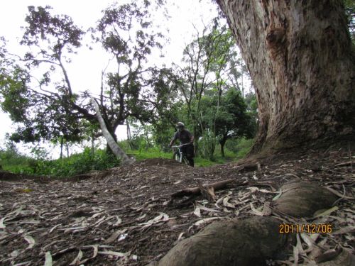 Fotografia de oscar camilo - Galeria Fotografica: caminando - Foto: 