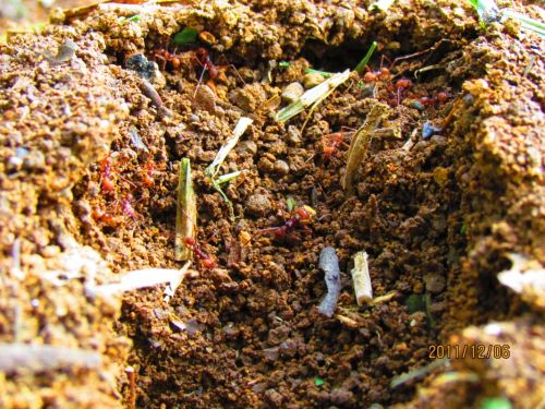 Fotografia de oscar camilo - Galeria Fotografica: caminando - Foto: 