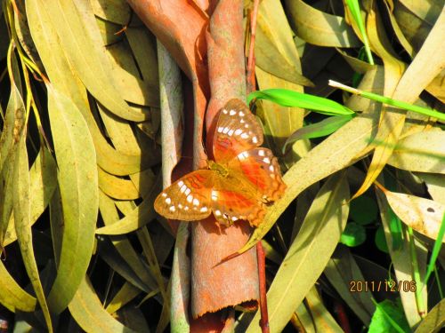 Fotografia de oscar camilo - Galeria Fotografica: caminando - Foto: 