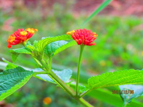 Fotografia de oscar camilo - Galeria Fotografica: caminando - Foto: 