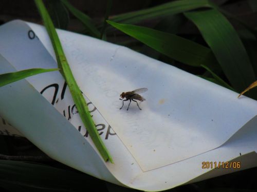 Fotografia de oscar camilo - Galeria Fotografica: caminando - Foto: 