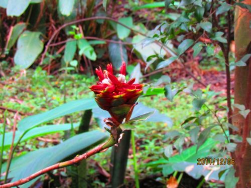 Fotografia de oscar camilo - Galeria Fotografica: caminando - Foto: 