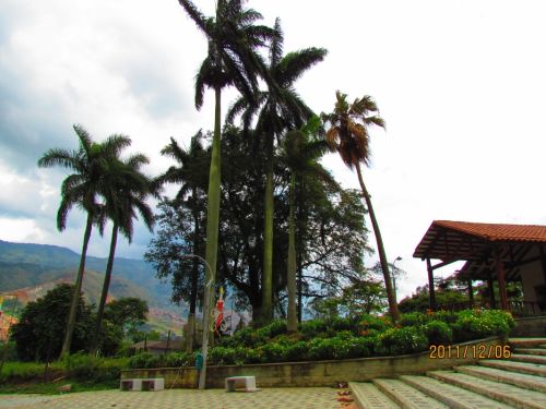 Fotografia de oscar camilo - Galeria Fotografica: caminando - Foto: 