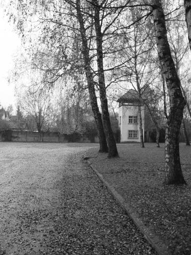 Fotografia de DavidSegado - Galeria Fotografica: Dachau - Foto: Soledad