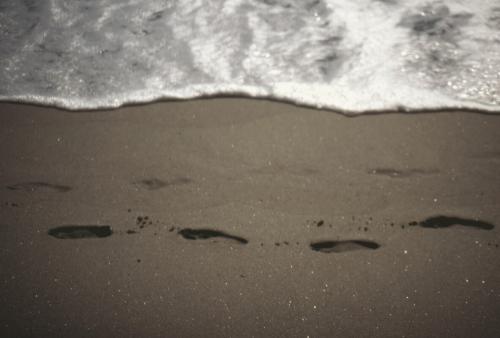 Fotografia de Sin Nombre - Galeria Fotografica: En el pas del Indalo I - Foto: 