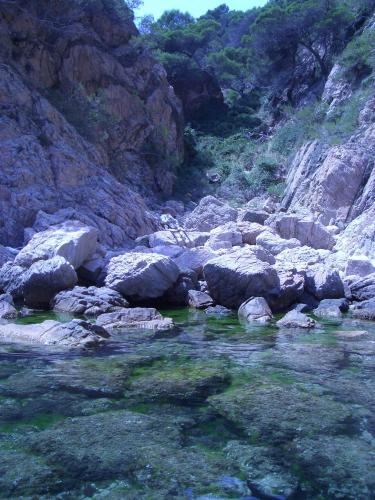 Fotografia de Arnau Selga - Galeria Fotografica: Baix Empord� 1 - Foto: 