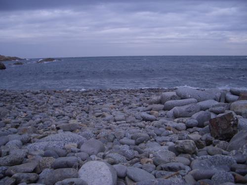 Fotografia de Arnau Selga - Galeria Fotografica: Baix Empord� 1 - Foto: 