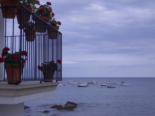 Fotografia de Arnau Selga - Galeria Fotografica: Baix Empord� 1 - Foto: 