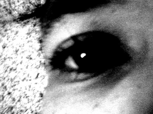 Fotografia de CL BC - Galeria Fotografica: Ojo retrato - Foto: S/T