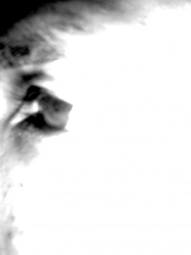 Fotografia de CL BC - Galeria Fotografica: Ojo retrato - Foto: S/T