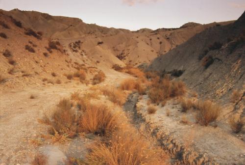 Fotografia de Sin Nombre - Galeria Fotografica: En el pa�s del Indalo II - Foto: 