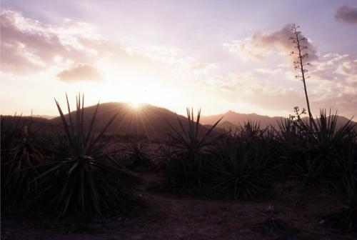 Fotografia de Sin Nombre - Galeria Fotografica: En el pas del Indalo II - Foto: 