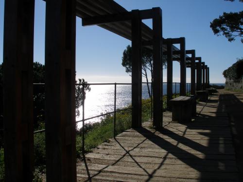 Fotografia de Arnau Selga - Galeria Fotografica: Baix Empord� 1 - Foto: 