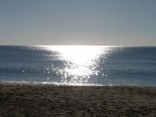 Fotografia de Arnau Selga - Galeria Fotografica: Baix Empord� 1 - Foto: 