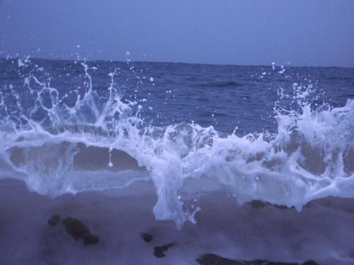 Fotografia de Arnau Selga - Galeria Fotografica: Baix Empord� 1 - Foto: Ona