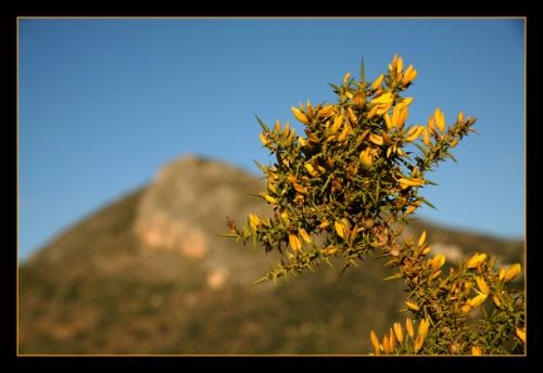 Fotografia de Andrs Moya - Galeria Fotografica: Walk around Mlaga - Foto: las altas y las espinosas