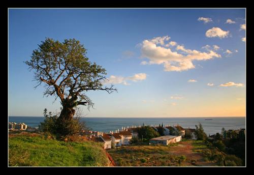 Fotografia de Andrs Moya - Galeria Fotografica: Walk around Mlaga - Foto: Walk around Mlaga