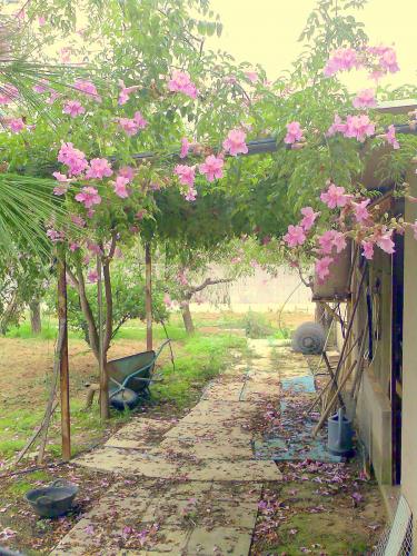 Fotografia de Quim Rizo - Galeria Fotografica: Momentos - Foto: 