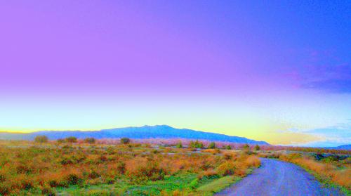 Fotografia de Quim Rizo - Galeria Fotografica: Momentos - Foto: 