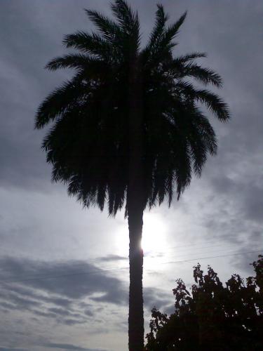 Fotografia de Quim Rizo - Galeria Fotografica: Momentos - Foto: 