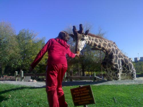 Fotografia de silvia madrid 88 - Galeria Fotografica: ZoO MADRID - Foto: al final comio...						