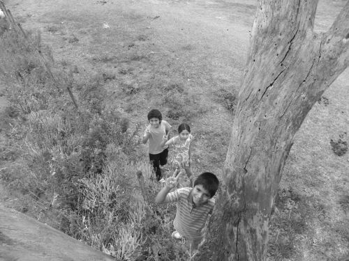 Fotografia de AguSua - Galeria Fotografica: Bajando espigas - Foto: 