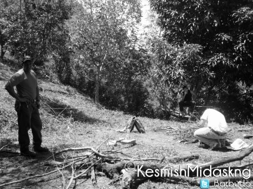 Fotografia de Kesmish Midaskng - Galeria Fotografica: Mix - Foto: 